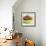 Small Bowl of Fruit III-Ethan Harper-Framed Art Print displayed on a wall