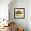 Small Bowl of Fruit III-Ethan Harper-Framed Art Print displayed on a wall