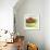 Small Bowl of Fruit III-Ethan Harper-Framed Art Print displayed on a wall