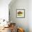 Small Bowl of Fruit III-Ethan Harper-Framed Art Print displayed on a wall