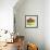 Small Bowl of Fruit III-Ethan Harper-Framed Art Print displayed on a wall