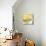 Small Bowl of Fruit Salad-Alexander Feig-Mounted Photographic Print displayed on a wall