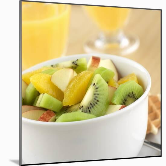 Small Bowl of Fruit Salad-Alexander Feig-Mounted Photographic Print