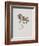 Small Boxwood-Moritz Michael Daffinger-Framed Collectable Print