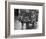 Small Boy Waits Patiently on a Donkey Cart in the Market Place at Kildare Co Kildare Ireland-null-Framed Photographic Print