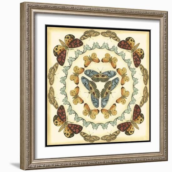 Small Butterfly Collector IV-Chariklia Zarris-Framed Art Print