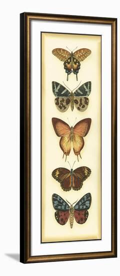 Small Butterfly Collector V-Chariklia Zarris-Framed Art Print