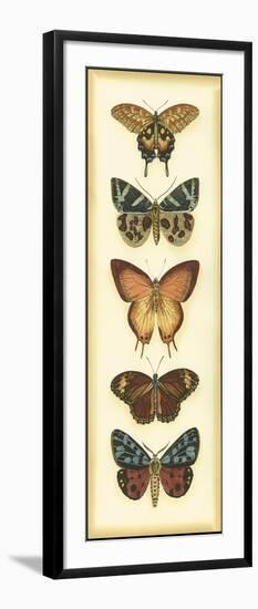 Small Butterfly Collector V-Chariklia Zarris-Framed Art Print