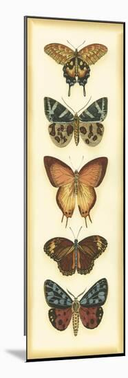 Small Butterfly Collector V-Chariklia Zarris-Mounted Art Print
