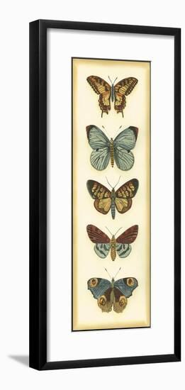 Small Butterfly Collector VI-Chariklia Zarris-Framed Art Print