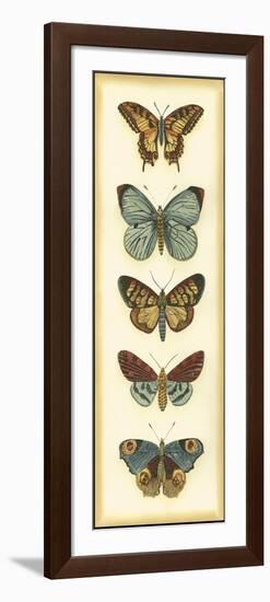 Small Butterfly Collector VI-Chariklia Zarris-Framed Art Print