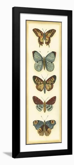 Small Butterfly Collector VI-Chariklia Zarris-Framed Art Print