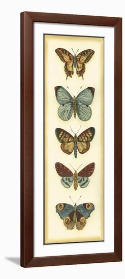 Small Butterfly Collector VI-Chariklia Zarris-Framed Art Print