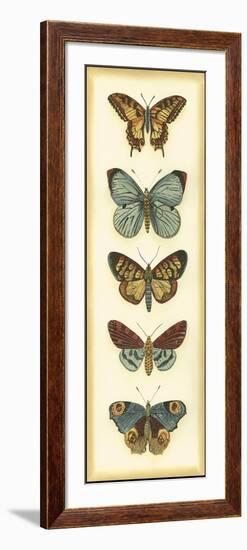 Small Butterfly Collector VI-Chariklia Zarris-Framed Art Print