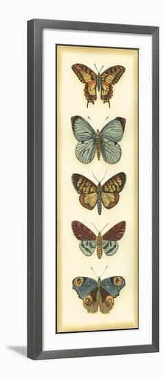 Small Butterfly Collector VI-Chariklia Zarris-Framed Art Print