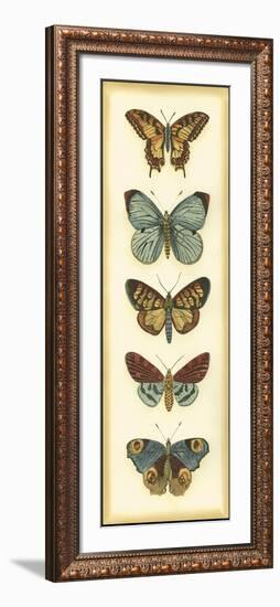 Small Butterfly Collector VI-Chariklia Zarris-Framed Art Print