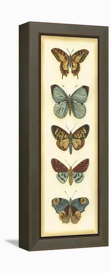 Small Butterfly Collector VI-Chariklia Zarris-Framed Stretched Canvas