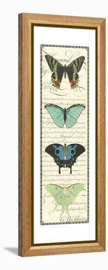 Small Butterfly Prose Panel II-Vision Studio-Framed Stretched Canvas