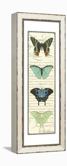 Small Butterfly Prose Panel II-Vision Studio-Framed Stretched Canvas