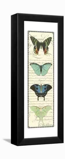 Small Butterfly Prose Panel II-Vision Studio-Framed Stretched Canvas