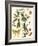 Small Catesby Butterfly and Botanical III-Mark Catesby-Framed Premium Giclee Print