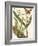 Small Catesby Butterfly and Botanical IV-Mark Catesby-Framed Art Print