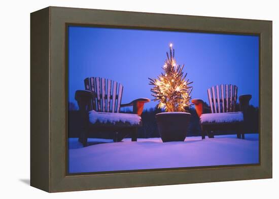 Small Christmas Tree Outdoors-Jim Craigmyle-Framed Premier Image Canvas