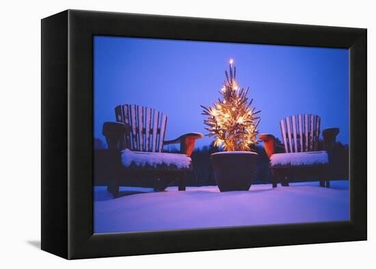 Small Christmas Tree Outdoors-Jim Craigmyle-Framed Premier Image Canvas