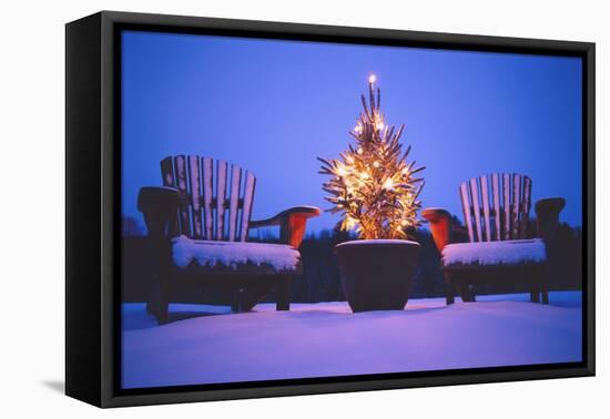 Small Christmas Tree Outdoors-Jim Craigmyle-Framed Premier Image Canvas