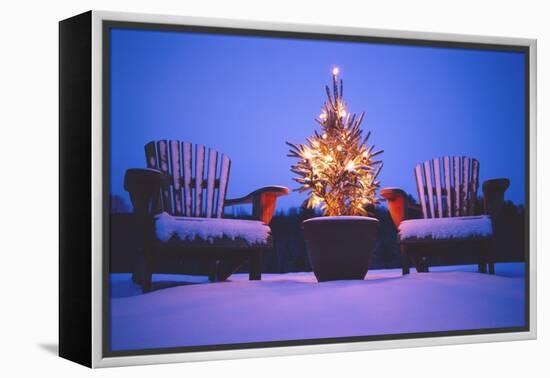 Small Christmas Tree Outdoors-Jim Craigmyle-Framed Premier Image Canvas