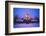 Small Christmas Tree Outdoors-Jim Craigmyle-Framed Photographic Print