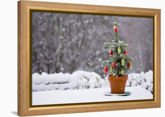 Small Christmas Tree-null-Framed Premier Image Canvas