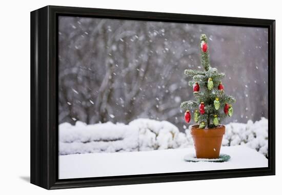 Small Christmas Tree-null-Framed Premier Image Canvas