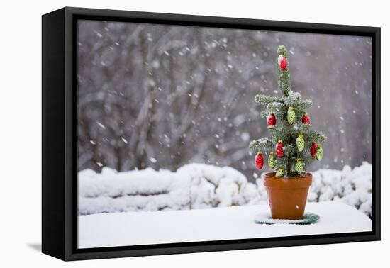 Small Christmas Tree-null-Framed Premier Image Canvas