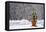 Small Christmas Tree-null-Framed Premier Image Canvas