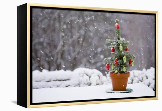 Small Christmas Tree-null-Framed Premier Image Canvas