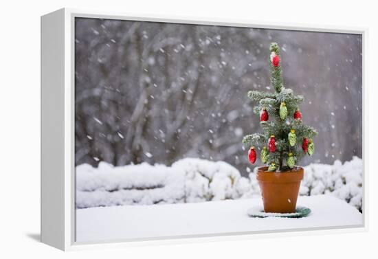 Small Christmas Tree-null-Framed Premier Image Canvas