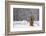 Small Christmas Tree-null-Framed Photographic Print