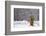 Small Christmas Tree-null-Framed Photographic Print