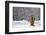 Small Christmas Tree-null-Framed Photographic Print