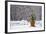 Small Christmas Tree-null-Framed Photographic Print