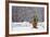 Small Christmas Tree-null-Framed Photographic Print