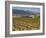 Small church next to the Wine Culture Museum, Briones village, La Rioja, Spain-Janis Miglavs-Framed Photographic Print