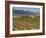 Small church next to the Wine Culture Museum, Briones village, La Rioja, Spain-Janis Miglavs-Framed Photographic Print