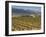 Small church next to the Wine Culture Museum, Briones village, La Rioja, Spain-Janis Miglavs-Framed Photographic Print