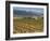 Small church next to the Wine Culture Museum, Briones village, La Rioja, Spain-Janis Miglavs-Framed Photographic Print