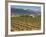 Small church next to the Wine Culture Museum, Briones village, La Rioja, Spain-Janis Miglavs-Framed Photographic Print