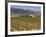 Small church next to the Wine Culture Museum, Briones village, La Rioja, Spain-Janis Miglavs-Framed Photographic Print