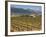 Small church next to the Wine Culture Museum, Briones village, La Rioja, Spain-Janis Miglavs-Framed Photographic Print