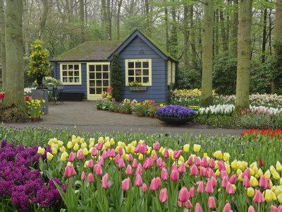 Small Cottage Flower Shop Keukenhof Gardens Lisse Netherlands